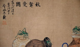 日本牲交视频,背后真相与反思